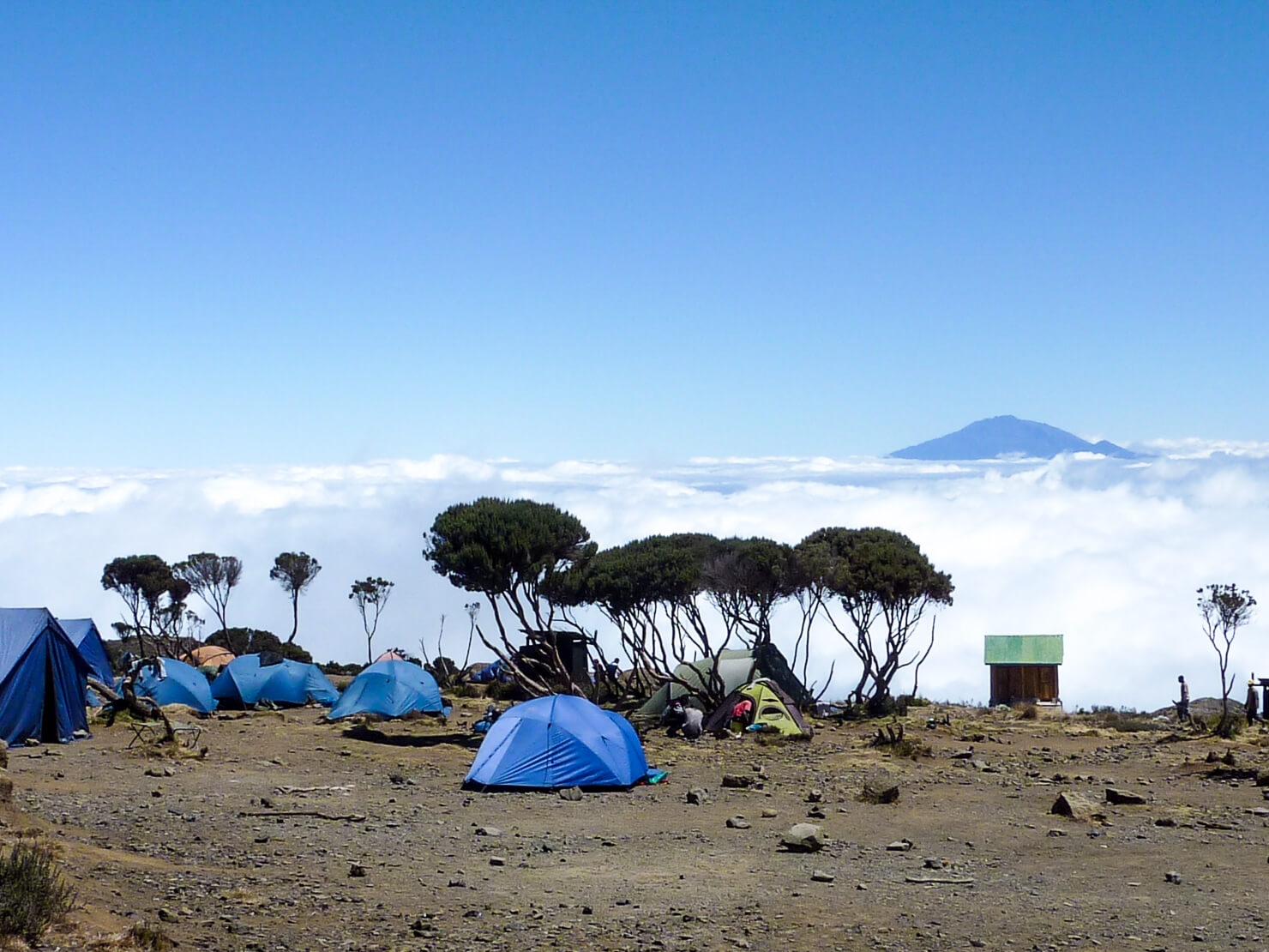 9 Days Kilimanjaro Climb Northern Circuit Route
