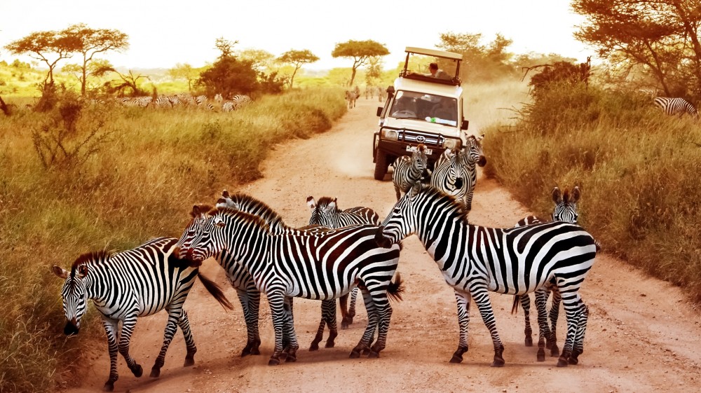 2 Days Tanzania Safaris Short and Sweet