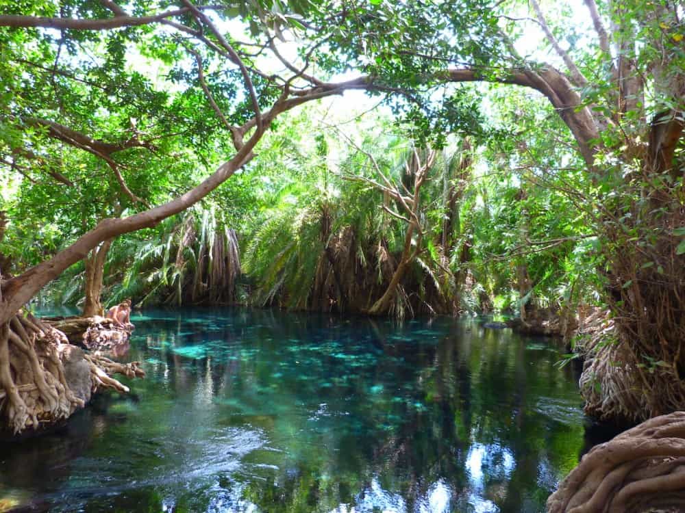Kikuletwa (Chemka) Hot Springs from Moshi