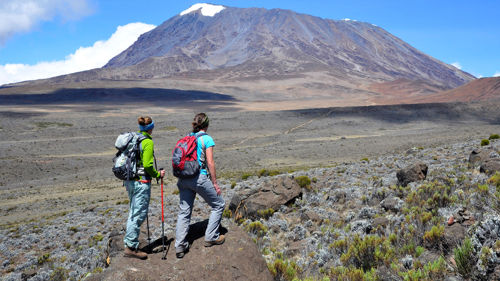 Mt. Kilimanjaro Day Hike